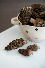 Close up of fresh raw morel mushrooms in a white bowl. Delicate mushrooms are prized in culinary dishes for their rich, earthy flavor and unique texture. Unique ingredient for delicious food