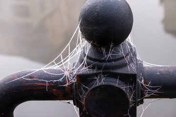 Spider's web covered in ice crystals attached to old painted ironwork
