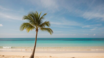 Obraz premium Tropical beach with palm tree and turquoise ocean.