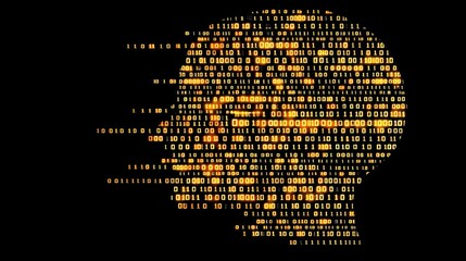 Digital Representation of Human Profile with Binary Code Elements