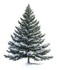 Obraz premium Snow-covered evergreen tree in winter landscape, cut out - stock png.
