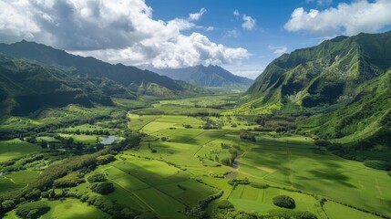 Obraz premium Stunning Aerial View of a Lush Green Valley Captured in Ultra HD 7K Resolution for Nature Enthusiasts and Outdoor Projects