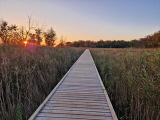 Fototapeta premium Spaziergang im Sonnenuntergang