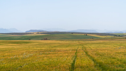 Fototapeta premium A vast, rolling landscape in La Mancha, Spain, characterized by golden fields of grain, green hills, and distant mountain ranges. An old, rustic building sits alone in the fields under a clear sky.