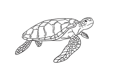 Obraz premium Stripes sea turtle swimming. realistic sea turtle doodle hand drawn isolated line black icon 