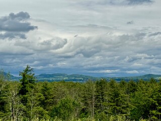 clouds over the forest