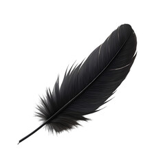 Captivating Black Feather Displayed on a Plain White Background Artistic Composition Studio Setting Close-Up Perspective Nature's Beauty Highlighted for Visual Impact