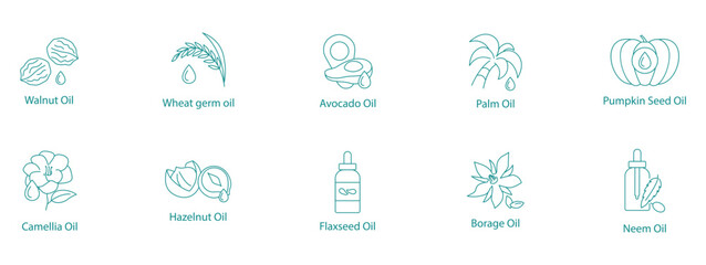 Natural Wellness Oils Vector Icon Set
Walnut, Wheat Germ, Avocado, Palm, Pumpkin Seed, Camellia, Hazelnut, Flaxseed, Borage, Neem