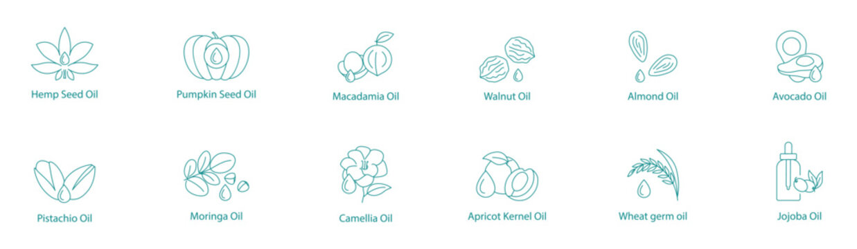 Premium Wellness Oils Vector Icon Set: Hemp, Pumpkin, Macadamia, Walnut, Almond, Avocado, Pistachio, Moringa, Camellia, Apricot Kernel, Wheat Germ, Jojoba