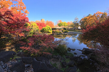 Obraz premium 紅葉の庭園