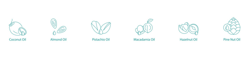 Gourmet Nut Oils Vector Icon Set: Coconut, Almond, Pistachio, Macadamia, Hazelnut, Pine Nut