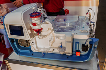 Device for normothermic perfusion of a donor kidney.