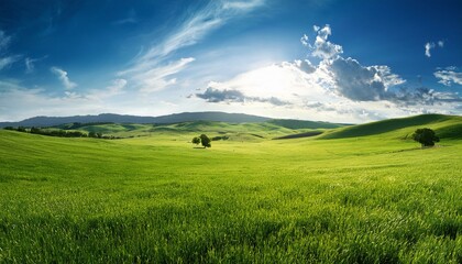 green meadow background, AI generated
