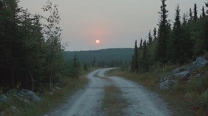 Obraz premium A scene of a straight road cutting through a lush green forest, symbolizing a healthy rainforest, environmental health, a green economy, and an ecosystem dedicated to preserving the Earth, captured