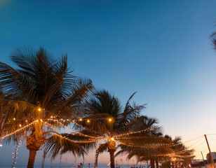 Obraz premium Palm trees lined with glowing string lights create a beachside ambiance against a dusky blue sky.