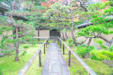 Obraz premium 京都の大徳寺の紅葉