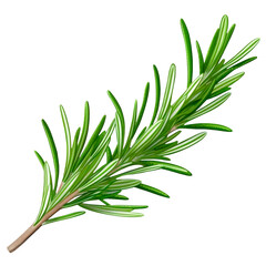 Rosemary