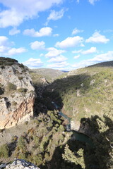 Obraz premium Paisaje verde
