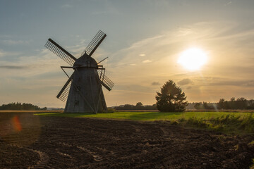 Fototapeta premium windmill in backlight at sunset