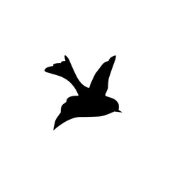 flying bird silhouette