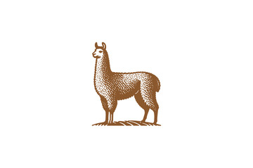 Obraz premium Minimalist vintage-style llama logo, monochrome brown on white