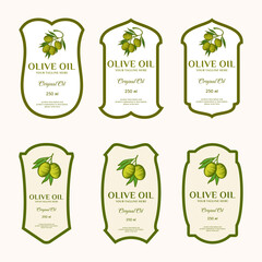 Olive oil label set. Olive fruit ornaments are the main point of the old label.