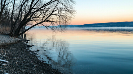 Early morning mist over a peaceful lake with bare trees, creating a calm and serene atmosphere.
