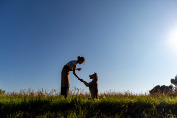 Thai woman and dogs in golden rice field