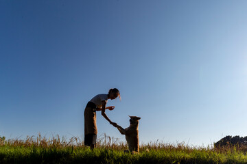 Thai woman and dogs in golden rice field