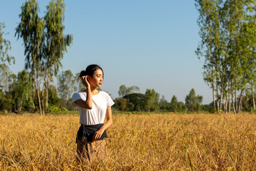 woman in the golden rice field