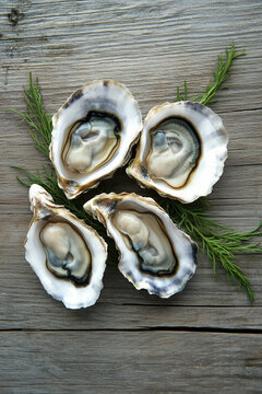 Oysters on a rustic wooden table baord