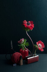 Still life on black background with wallet red anemones, red objects and pine branches symbolizing...