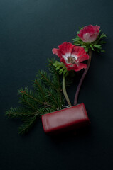 Still life on black background with wallet red anemones, red objects and pine branches symbolizing...