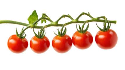 A cluster of five ripe red tomatoes on a green vine, showcasing their natural freshness and vibrant color.