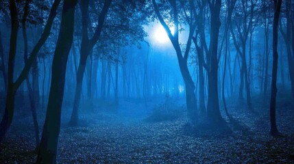 Fototapeta premium Enchanting Woodland Trail at Twilight in the Misty Blue Forest