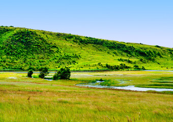 Obraz premium Lush grassland of Wakkerstroom village with a winding river and hills in the background, Mpumalanga, South Africa
