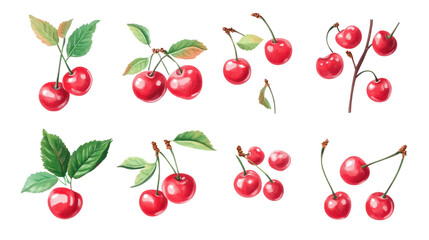 A collection of illustrated cherries in various arrangements, showcasing their vibrant colors and natural forms.