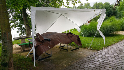 There are two horses standing peacefully beneath a white tent in a park