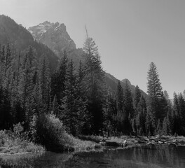 Cascade Canyon, Grand Teton National Park, Wyoming, USA