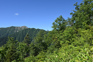 Climbing Mt. Tsubakuro, Nagano, Japan