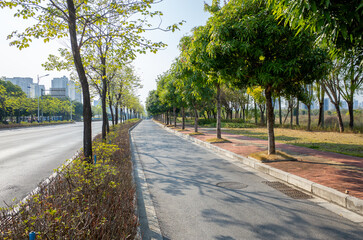A well-designed urban bike lane and tree-lined walking footpath, separated from car traffic by a grassy median strip, provides a safe and dedicated path for cyclists and pedestrian