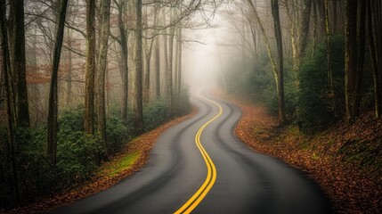 Obraz premium Winding road through misty autumn forest.