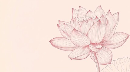 Fototapeta premium Delicate pink lotus flower illustration with line art style on a light pink background.