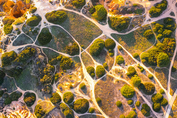 Aerial view of coast vegetation crossed by trails, Algarve, Portugal
