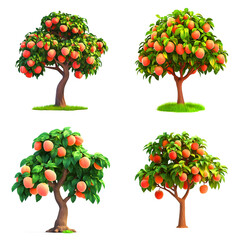 peach tree with a short, sturdy trunk, rounded green foliage