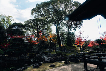 京都の醍醐寺の紅葉