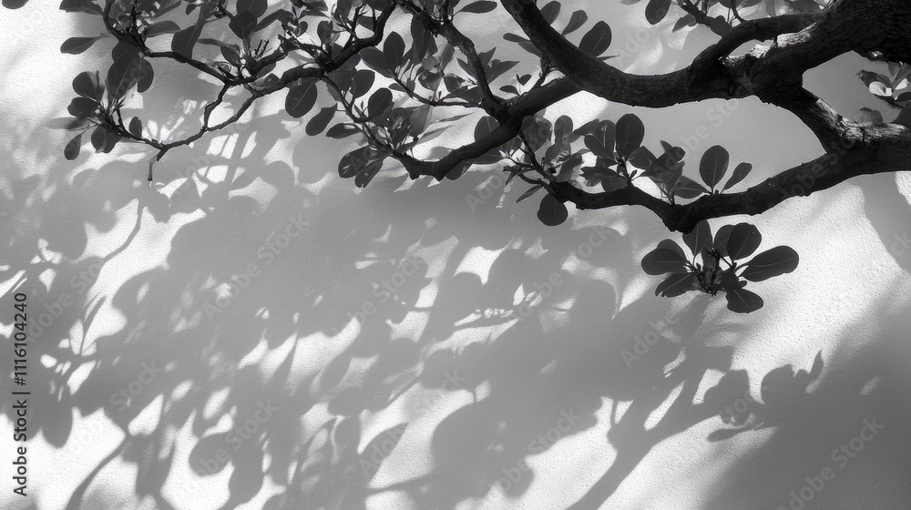 Poster nature-inspired shadows creating intricate patterns on a textured wall in black and white photograph
