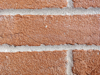 A detailed close up shot of a brown brick wall that features white lines