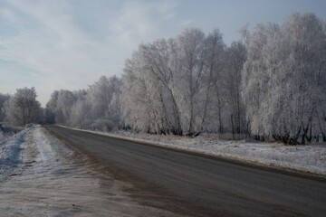 A scenic winter landscape featuring snow-covered trees and a winding road. The tranquil,...