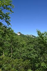 Fototapeta premium Climbing Mt. Tsubakuro, Nagano, Japan
